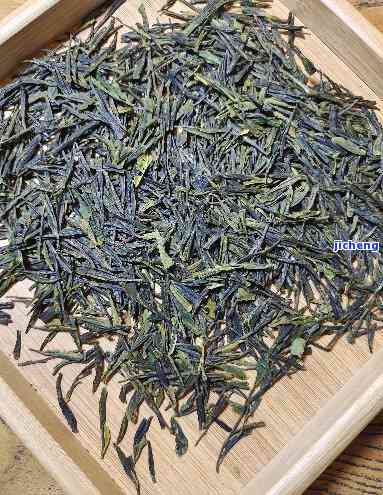 崂山松针茶与扁茶的区别、价格及功效作用全面解析