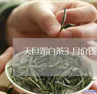 天目湖茶的价格-天目湖茶的价格是多少