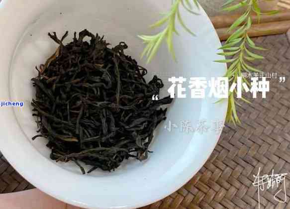 花香小种茶价格及图片，探寻花香小种茶的美妙：价格与图片全览