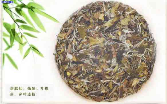 白牡丹饼茶价格-白牡丹饼茶价格表