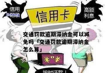 交通处罚逾期滞纳金计算方法及期限规定