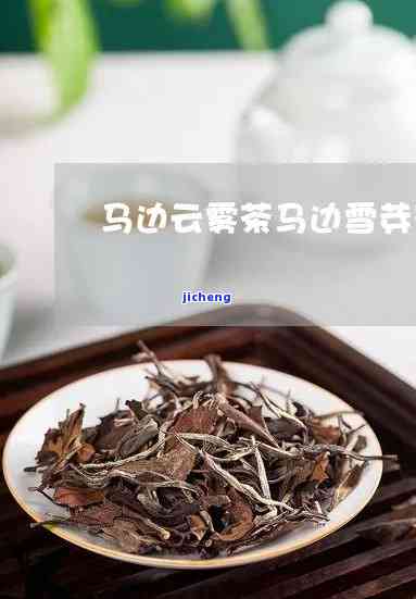 马边云雾茶价格-马边云雾茶价格多少