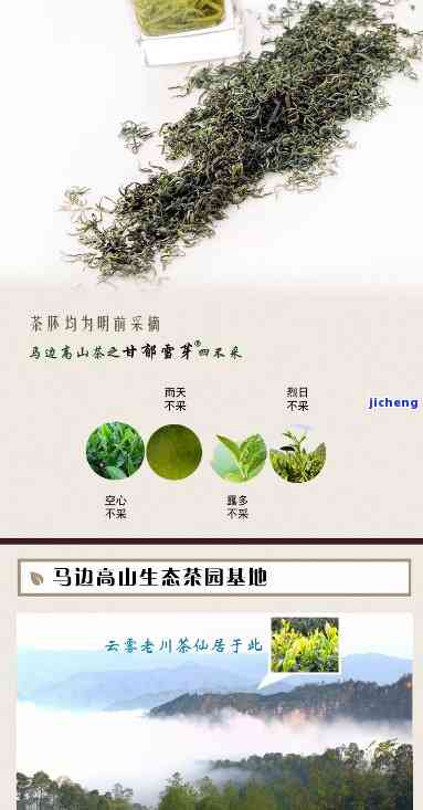 马边高山茶叶介绍及价格一览