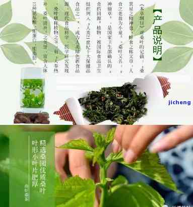 德州津椹叶茶：厂家、价格、作用与功效全解析