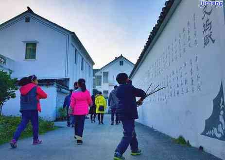 龙岗马山茶价格多少？广东龙岗马山茶业股份丰顺龙岗马山茶一斤多少钱？