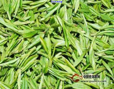 云雾茶新茶价格多少？最新行情一斤价解析