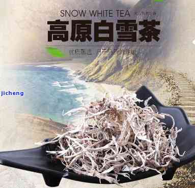 斑马藏雪茶价格-斑马藏雪茶价格表