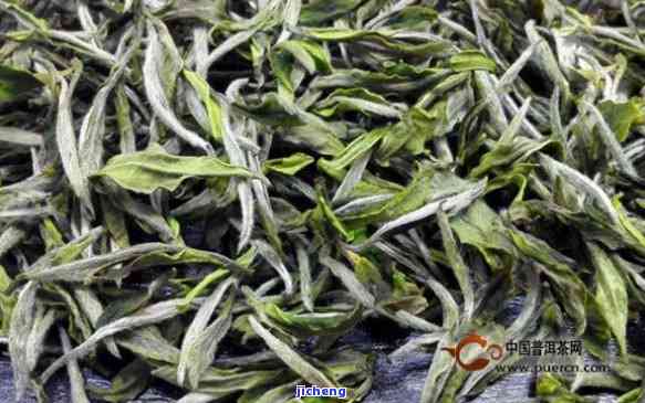 高山白露茶多少钱一斤，探究高山白露茶的价格：一斤要多少？