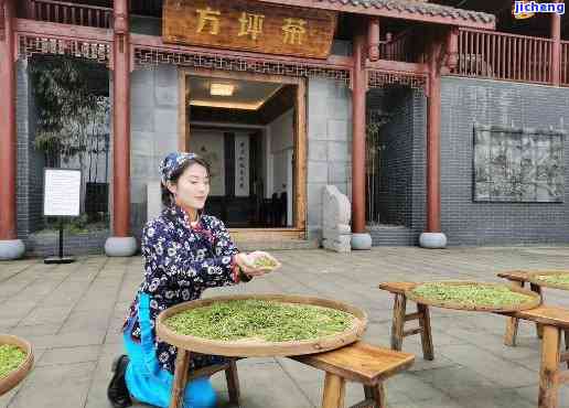 涪陵方坪茶价格表：哪里买最划算？