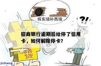 招商逾期被暂停使用？别急！解决办法在此！