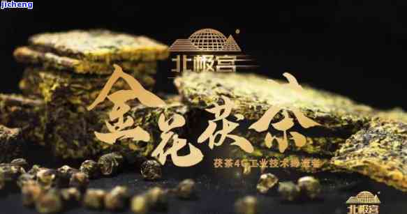 金花茯茶价格3000，金花茯茶价格亲民，只需3000元即可拥有高品质的茶叶体验！