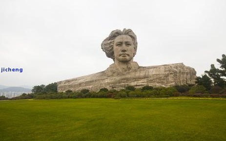 潇湘八景茶价格-潇湘八景茶叶