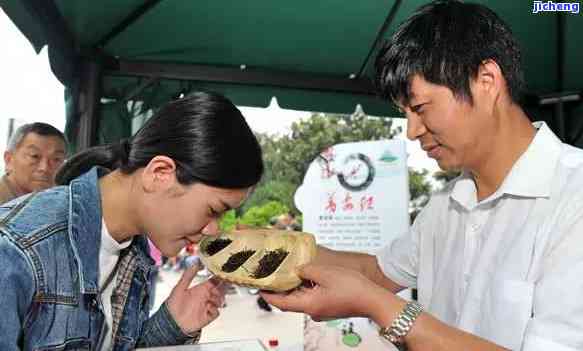 喝茶有哪些说法？探索不同文化中的茶语与品茗技巧