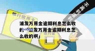 浦发万用金逾期2年-浦发万用金逾期2年会怎样