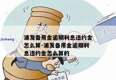 浦发备用金逾期一天利息多少，浦发备用金：逾期一天的利息是多少？