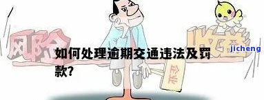 交通罚款逾期怎么交，如何处理交通罚款逾期？交纳方式及注意事详解