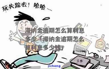 逾期处理的严重后果及滞纳金计算方法