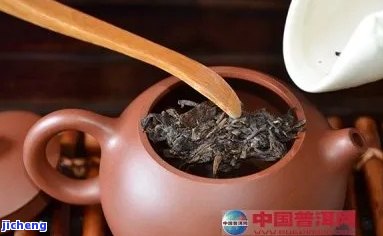 古树沱茶怎么泡？熟悉其泡法与类别