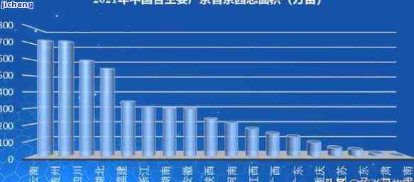 人均喝茶量最多的：排名与详细数据