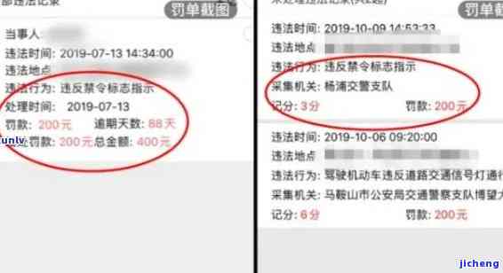 如何查交通罚款逾期情况及缴款结果？