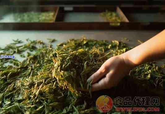 哪一种是后发酵茶：探讨不同种类的茶叶及其发酵过程