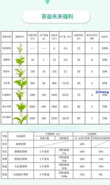 茶农直销网站值得投资吗，探讨茶农直销网站的投资价值：值得关注还是避而远之？