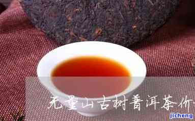 无量山古树茶价格多少钱一公斤，揭秘无量山古树茶价格，一公斤多少钱？