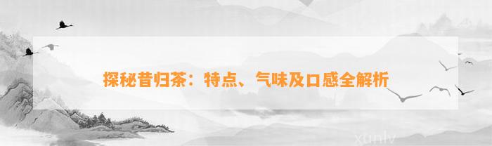 探秘昔归茶：特点、气味及口感全解析