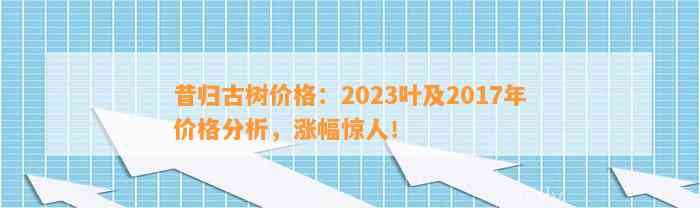 昔归古树价格：2023叶及2017年价格分析，涨幅惊人！