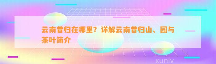 云南昔归在哪里？详解云南昔归山、园与茶叶简介