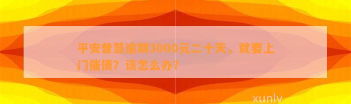 平安普慧逾期3000元二十天，就要上门催债？该怎么办？