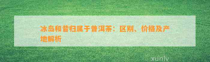 冰岛和昔归属于普洱茶：区别、价格及产地解析