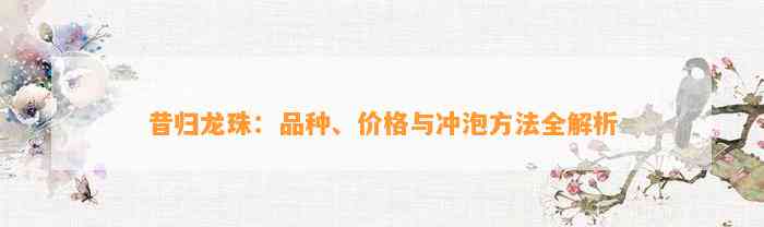 昔归龙珠：品种、价格与冲泡方法全解析