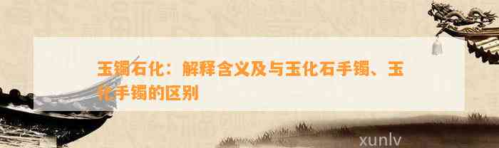 玉镯石化：解释含义及与玉化石手镯、玉化手镯的区别