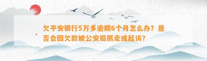 欠平安银行5万多逾期6个月怎么办？是否会因欠款被公安局抓走或起诉？