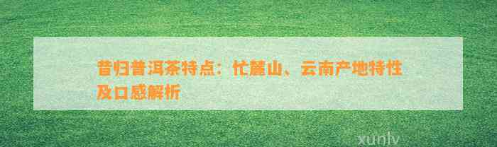 昔归普洱茶特点：忙麓山、云南产地特性及口感解析