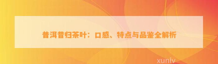 普洱昔归茶叶：口感、特点与品鉴全解析