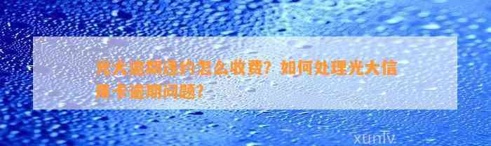 光大逾期违约怎么收费？如何处理光大信用卡逾期问题？