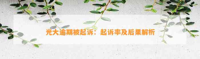 光大逾期被起诉：起诉率及后果解析