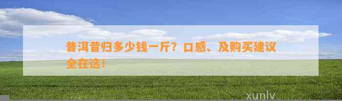 普洱昔归多少钱一斤？口感、及购买建议全在这！