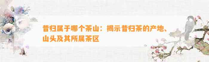 昔归属于哪个茶山：揭示昔归茶的产地、山头及其所属茶区