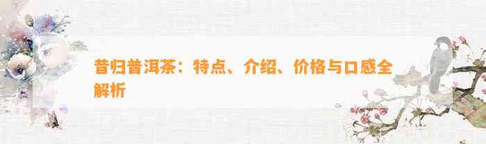 昔归普洱茶：特点、介绍、价格与口感全解析