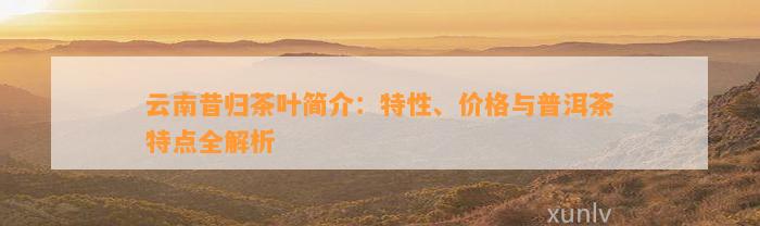 云南昔归茶叶简介：特性、价格与普洱茶特点全解析