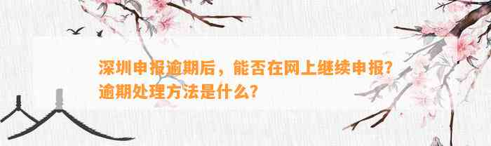 深圳申报逾期后，能否在网上继续申报？逾期解决方法是什么？