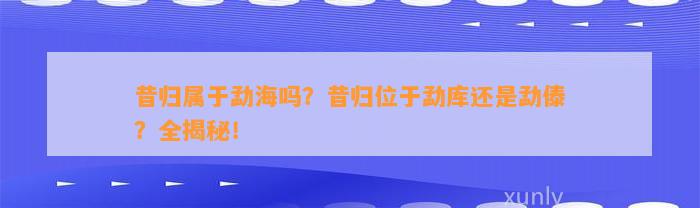 昔归属于勐海吗？昔归位于勐库还是勐傣？全揭秘！