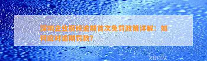 深圳企业报税逾期首次免罚政策详解：如何应对逾期罚款？