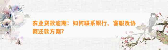 农业贷款逾期：如何联系银行、客服及协商还款方案？