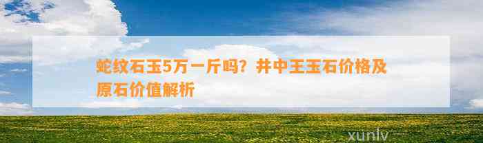 蛇纹石玉5万一斤吗？井中王玉石价格及原石价值解析