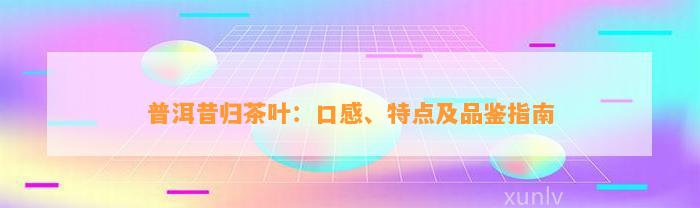 普洱昔归茶叶：口感、特点及品鉴指南