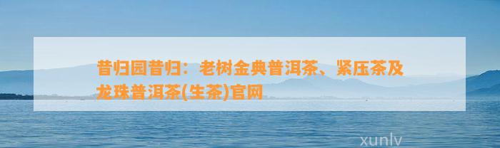 昔归园昔归：老树金典普洱茶、紧压茶及龙珠普洱茶(生茶)官网